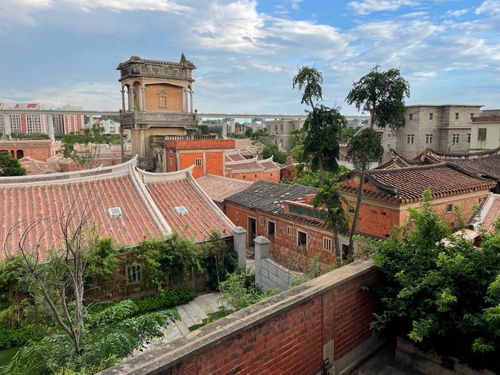 梧林南洋夢 起大厝與實業報國的家國情懷